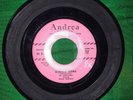 HARPTONES ANDREA 100 WHAT IS YOUR DECESION GIMME SOME 45 Record