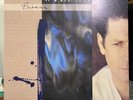 Brian Wilson–Brian Wilson-Sire-25669.1-Vinyl, LP-Australia 1988