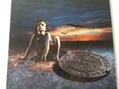 Steelheart - Tangled In Reins - Vinyl LP German 1st Press 1992 EX+ Hair Metal