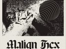 Meat Wave Malign Hex  (Vinyl)  12