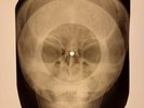 Elvis Presley - New Orleans X-RAY SKULL BONES RECORDS USSR 118