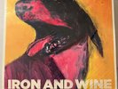 IRON AND WINE – THE SHEPHERD'S DOG - VINYL LP FREE SHIPPING NEW - A8