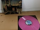 Pink Floyd -Animals Limitierte Sonderausgabe Pink