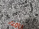 Riot by Paramore (Record, 2007)