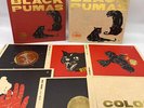 Black Pumas Collector's Edition 7