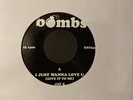 JAY-Z BIG PIMPIN’ I JUST WANNA LOVE U 7” 45 VINYL RECORD BRAND NEW FREE SHIPPING
