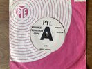 RGM / JOE MEEK Andy Cavall (Cavell) - Andy Pye DEMO 7N 15539