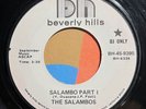 psych funk breaks 7” THE SALAMBOS Salambo  Mp3 Beverly Hills Promo 1973 VG+