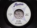 RARE MICHIGAN GARAGE ROCK-FENTON RECORDS 2016-THE SAHARAS-I'M FREE-45