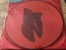 ALICE IN CHAINS - the devil put dinosaurs here - LP, Vinyl Picture Disc US First