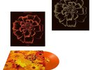 Siouxsie And The Banshees All Souls SIGNED PRINT Limited Edition Orange Vinyl LP