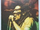 BOB MARLEY KAYA VINYL