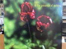 Lilys - In The Presence Of Nothing LP   1998  spinART spart2   RARE INDIE VG+