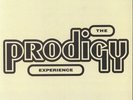 PRODIGY, The - Experience - Vinyl (gatefold 2xLP)