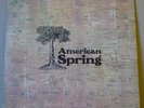 AMERICAN SPRING American Spring LP UNITED ARTISTS 1972 ITA orig BRIAN WILSON