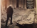 NEW SEALED GRAHAM NASH AUTOGRAPHED THIS PATH TONIGHT ART PRINT CSN&Y 180 GRAM