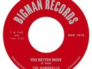 THE GAMBRELLS YOU BETTER MOVE NEW RELEASE BIGMAN  RECORDS NORTHERN SOUL