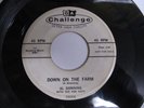 Rocker 45 by Al Downing Down On the Farm