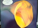 Swans - The Burning World LP   NM Promo Original with lyric sleeve