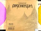 King Gizzard & The Lizard Wizard - Omnium Gatherum (2LP) PINK & TAN SPLATTER NEW