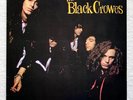 THE BLACK CROWES . shake your money LP  1.Press 1990 Chris Robinson CASH Danzig