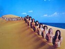 Birth Control Increase Brain Vinyl LP
