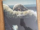 Beyoncé -  Lemonade - Yellow 180 Gram Vinyl 2LP (sealed)
