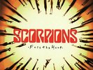 Scorpions - Face The Heat - LP