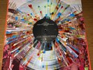 A Day to Remember Common Courtesy LP Record