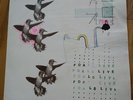 Foals 'Foals Live' (Live at the Liars Club 2007) Limited Ed 12
