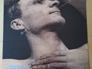 Pitch Shifter ‎– Desensitized LP - 1993 - MOSH 75 - NM/EX