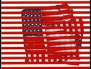 Tortoise Standards Red White Color Vinyl LP