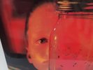 Alice In Chains Jar Of Flies/Sap Vinyl 2010. Vinyl never played. Excellent condi