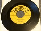 The Playboys - Whatizit?/Charge It 45 Crystalette halloween tittyshaker VG HEAR
