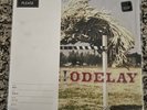 Beck Odelay VMP pressing on colored vinyl with art print