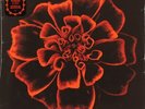 Siouxsie & The Banshees, All Souls  Vinyl Record *NEW*
