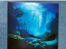 Rare Donald Fagan - Sunken Condos (2012, Europe, Clear Vinyl see description