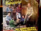 LOS CAMINANTES 