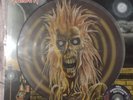 Iron Maiden RSD Picture Disc 40th Sealed