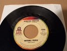 HAMILTON STREETCAR invisible people / flash LHI 17016 rare PSYCH fuzz GARAGE 45