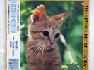 RYUICHI SAKAMOTO THE ADVENTURES OF CHATRAN MIDI INC MIL-1017 JAPAN OBI VINYL LP