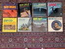 Surf Music 8 LP Mega Lot The Ventures Dick Dale The Lively Ones The Beach Boys