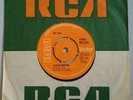 RARE GLAM PUNK 45 The Jook Alright With Me/ Do What RCA 2279 1972 Trevor White