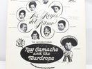 Los Reyes Del Ritmo Ray Camacho and the Teardrops Vinyl Record LP VG Album