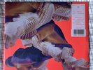 BICEP ISLES ALBUM VINYL 2x LP PURPLE EXCLUSIVE PRESSING  (1/500) Sealed 12”