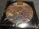 Lord Of The Rings Herr Der Ringe Picture LP 1978