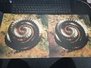 Nine Inch Nails Closer / Further Away Vinyl Very Rare