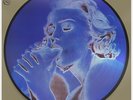Madonna – Erotica - Picture Disc Vinyl Record 12