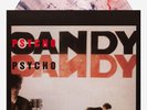 The Jesus and Mary Chain Psycho Candy Newbury Comics Vinyl Record NEW