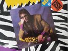 Stephen Bishop - Best Of Bish 1988 LP, Comp Rhino Records (2) R1 70833 Very Good